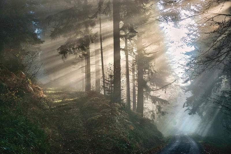 Mystical realms