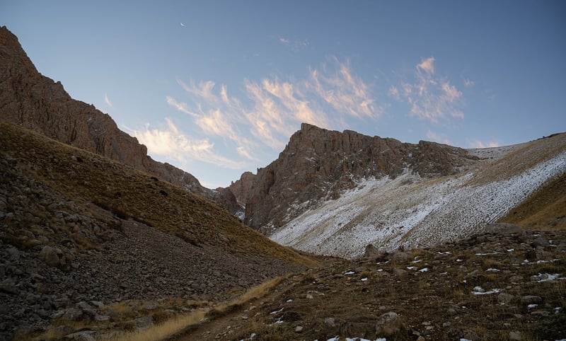 Survival in the Wilderness