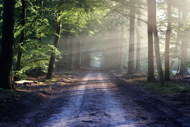 Scenic Trail
